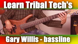 Salt Lick (Tribal Tech) - Gary Willis bass cover