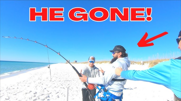 using shark bait at the beach - live mullet and jack 