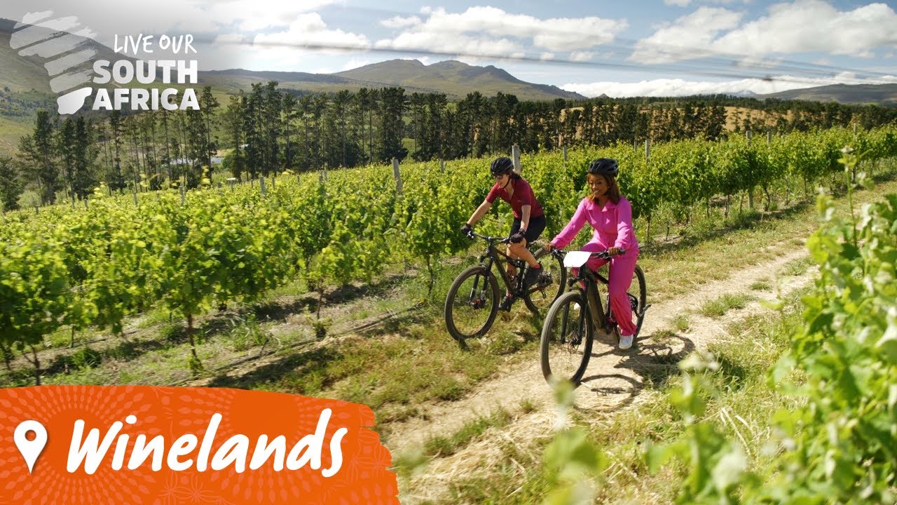 Food, wine and luxury await in the Winelands | Visit South Africa 🇿🇦