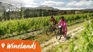 Food Wine And Luxury Await In The Winelands  Visit South Africa 