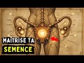 Le Secret Caché De La MASTURBATION Comment Maîtriser Ton Énergie Sexuelle Et Devenir Tout Puissant Le Secret Caché De La MASTURBATION Comment Maîtriser Ton Énergie Sexuelle Et Devenir Tout Puissant