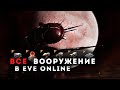 ВООРУЖЕНИЕ в EVE Online ❗ Необходимые знания для старта.