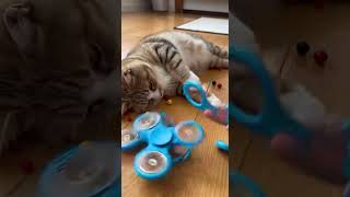 You Wont Believe This Hilarious Moment funny comedy laugh