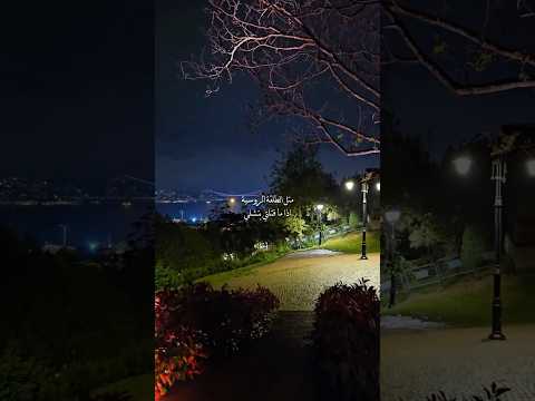 انتي منك عادية