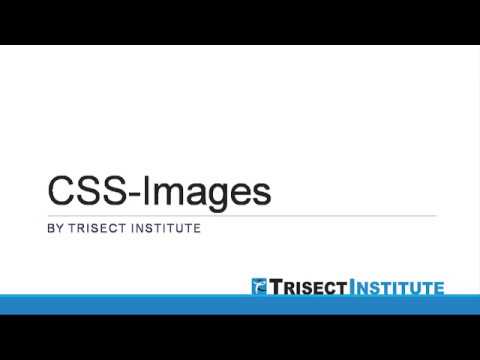 C5C1