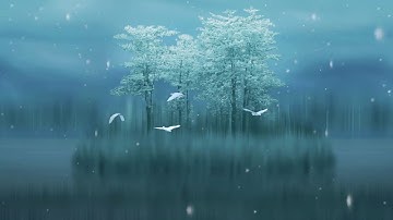 تلاوة هادئة تنسِيك الدنيا وهمّها .🌿