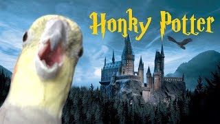 Honky Potter