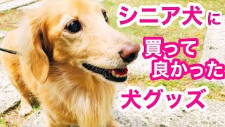 シニア犬の為に買って良かった犬グッズ