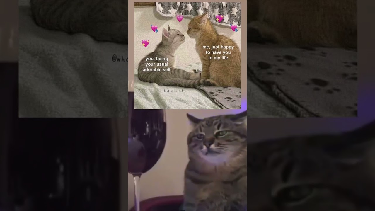 Cute meme of the day