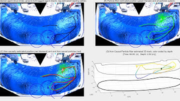 Particle Filter Based Object Tracking: Camera + Wearable Sensors