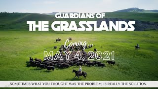 Guardians of the Grasslands - Public Launch Preview