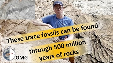 These trace fossils can be found through 500 million years of rocks