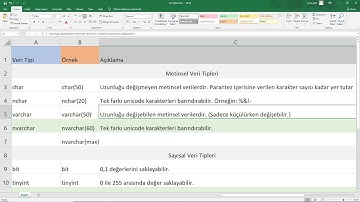 163) Sql Veri Tipleri