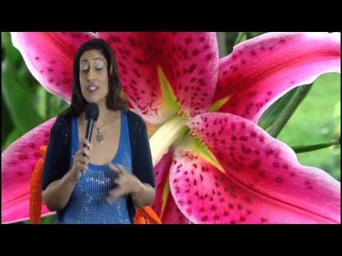 Come essere un astrologo per Nadiya Shah