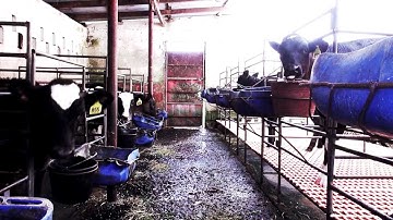 Turning garbage into energy gold