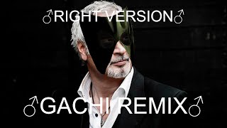 ВАЛЕРИЙ МЕЛАДЗЕ - САЛЮТ, ВЕРА! (♂Right version, Gachi Remix by GachiMonkey♂)