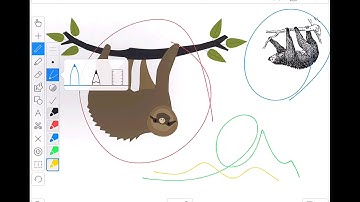 Explain Everything Tutorial