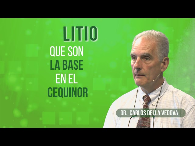 LITIO desde la UNLP | Della Vedova