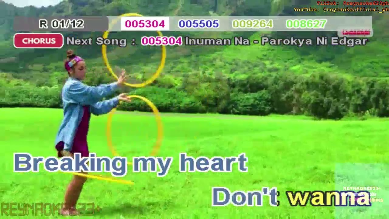 4344 - Heaven Knows - Rick Price (Karaoke/Reyna 3c/1080p HD)