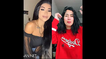 جت الحكومة فتش فتش فتش 