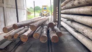 Secadora biomasa postes