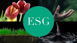 The Capital Network's commitment to ESG: Environmental, Social & Governance