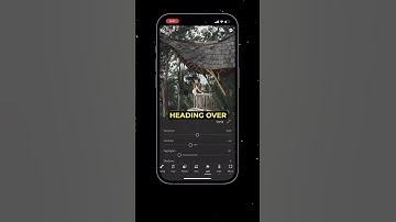 Muted Green Color Look In Lightroom Mobile