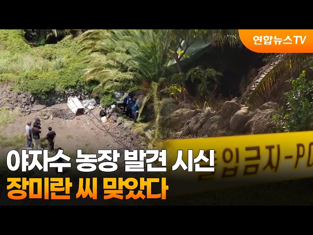 야자수 농장 발견 시신…장미란 씨 맞았다 / 연합뉴스TV (YonhapnewsTV)