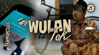 Wulan Tok ( Musik Video) Lagu Ngapak Lucu Brebes |DJ NGAPAK|