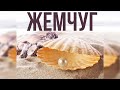 УКРАШЕНИЯ С ЖЕМЧУГОМ, БАРОЧНЫЙ ЖЕМЧУГ - тренд ювелирной моды. Победитель прошлого розыгрыша перлини