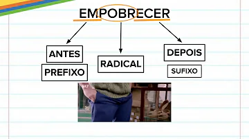 Como classificar os elementos Morficos?