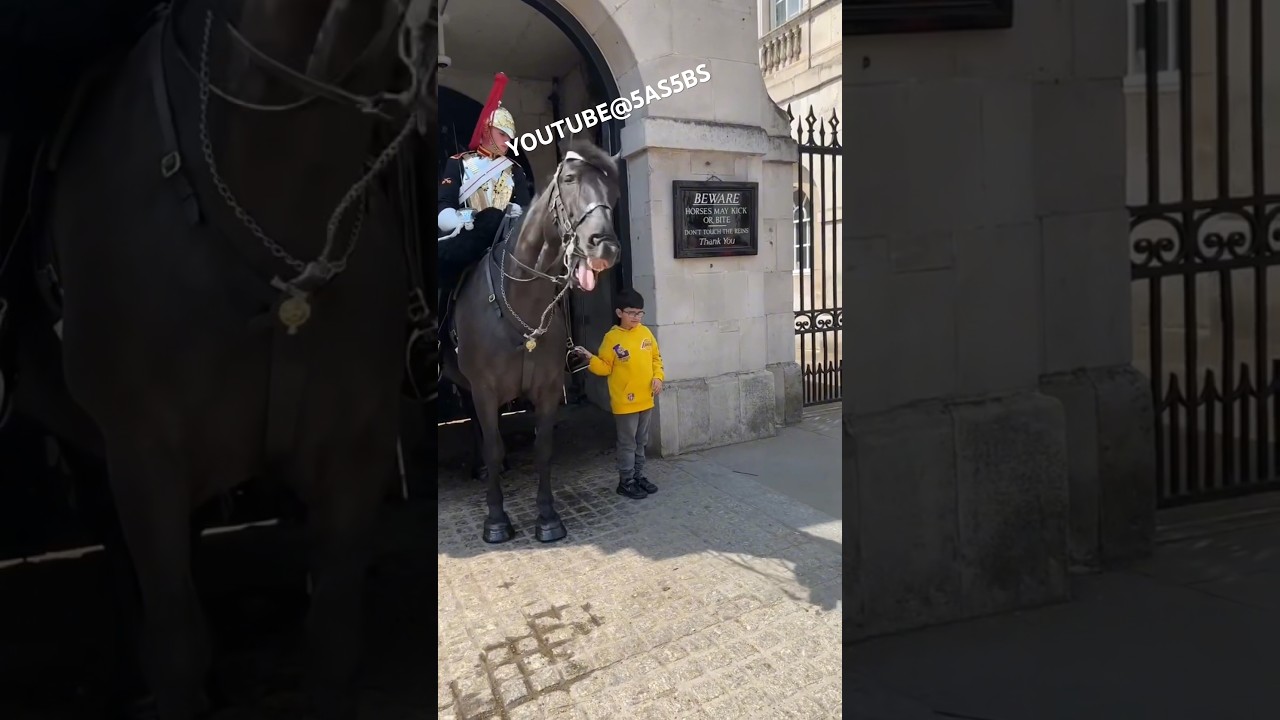KING’S GUARDS HEART WARMING GESTURE OF KINDNESS TOWARDS A SPECIAL CHILD