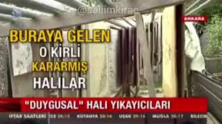 K D Haber - Duygusal Halı Yıkayıcıları