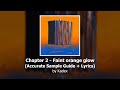 TOPASR - Chapter 2 - Faint orange glow - Sample Guide