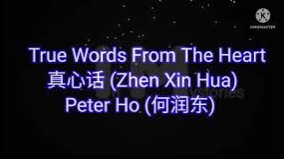 Peter Ho (何润东) -- True Words From The Heart 真心话 (Zhen Xin Hua) #lyrics #truewordsfromtheheart #words