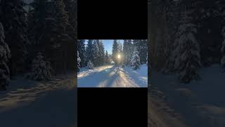 #winteraesthetic  #wintervibes #darkwinter #moodygrams #cinematicvideo #aestheticvideos  #wintercore