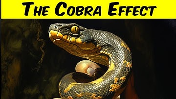 The Cobra Effect | Understand the behavior of anybody
