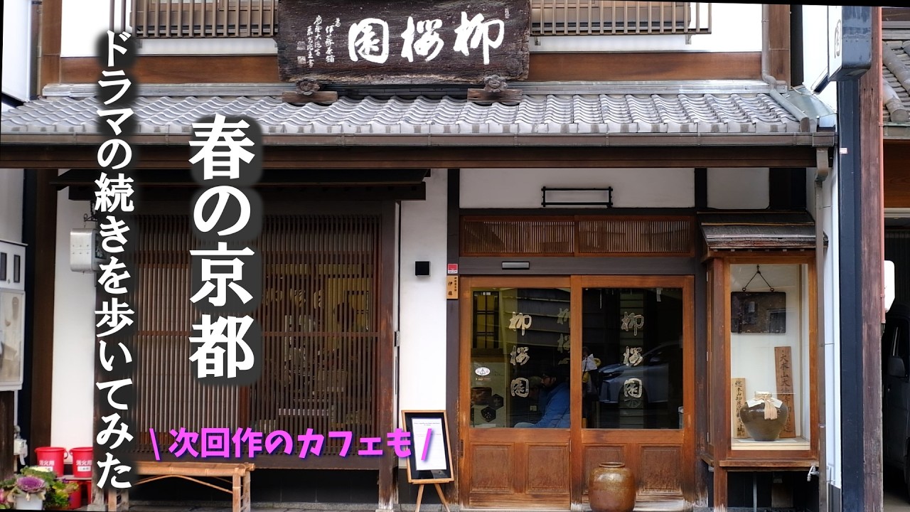 ロケ地巡り🌸京都人の密かな愉しみ「まことの花」をたどる。冷泉家の桜から京番茶、鞍馬の火祭りへ　　#柳桜園茶舗#cafeorigi#マルプー#京都人の密かな愉しみ Rouge-継承-