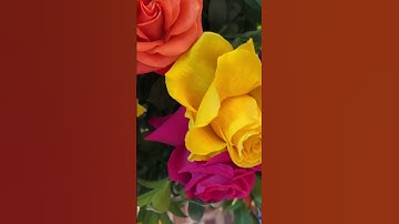 Thumbnail of 🍋Lemons=Lemonade, Thorns=Roses, Broken=Rebuilt | List others in the Comments #glowup