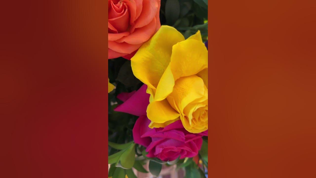 🍋Lemons=Lemonade, Thorns=Roses, Broken=Rebuilt | List others in the Comments #glowup