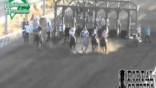 el obama banda carnaval VIDEO OFICIAL