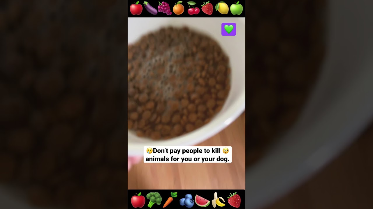 💚 Bella Vegan Dog is still alive! It feels GREAT not to pay people to