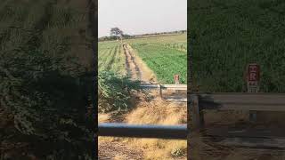 #train #रेलगाड़ी #shortvideo #@astroiddestroyer-r6x
