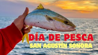 Día de pesca en San Agustín Sonora