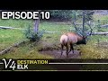 We Found The Bull We Are After! EPISODE 10 (Destination Elk V4)