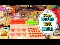 Huge DOLLAR TREE HAUL!  August 26, 2020 #LeighsHome