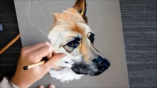 Speed Drawing: Deutscher Schäferhund mit Pastellkreiden screenshot 4