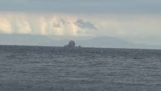 Trash 04122019 8 Methana Nubbio