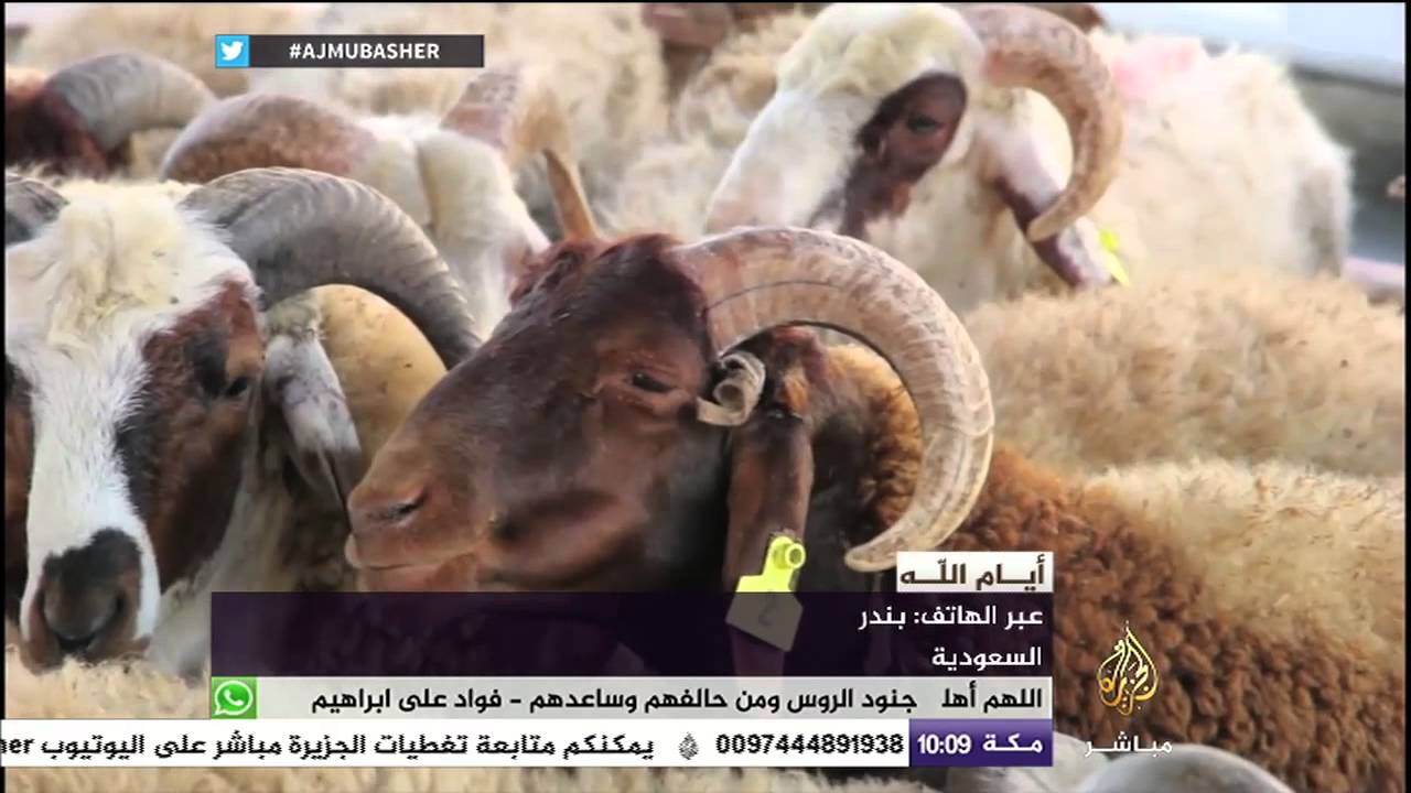 نصائح التغذية والإشادات الطبية للأسرة مع أول أيام النحر