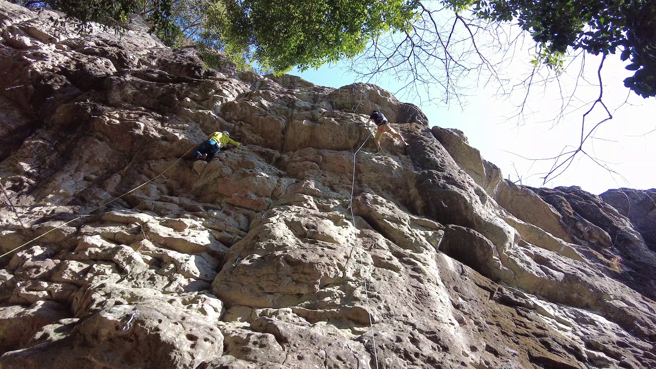 城山　ワイルドボア　モンキークライ12c